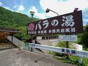 �o���̓��̎ʐ^4