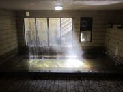 �V���@�e�̉Ƃ̎ʐ^2