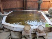 ���P�̓��̎ʐ^2