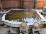 ���P�̓��̎ʐ^2