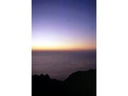 ���܂דn����w�̎ʐ^2