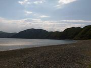 �͂����l�C�`���[�Z���^�[�̎ʐ^2