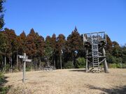 �̖���R�R���̎ʐ^2