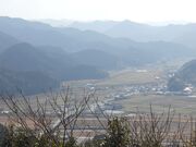 �̖���R�R���̎ʐ^3