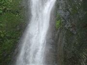 ���̑�̎ʐ^2