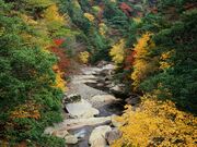 ���͓��k�J�̎ʐ^3