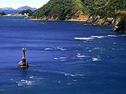 ���̊ԊC���̎ʐ^2