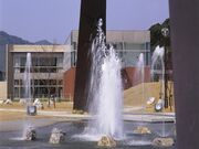 �����s���a�F�O�ق��炬�̎ʐ^2