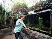 �ԏ��������Ȋق̎ʐ^3