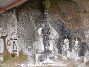 ���q���R�Γ��̎ʐ^2