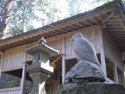 �钹���_�Ђ̎ʐ^2