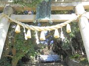 �܏����_�Ђ̎ʐ^2