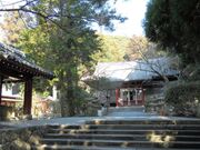 �܏����_�Ђ̎ʐ^3