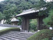 ���S���̎ʐ^3