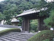 ���S���̎ʐ^3