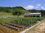 �̌������T�̍b�Ȃ�����̎ʐ^3