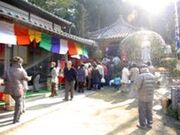 ����n�����̎ʐ^2