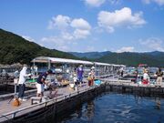 �ނ����ቤ�̎ʐ^2