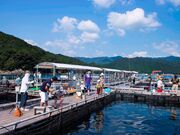 �ނ����ቤ�̎ʐ^2