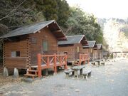 ���͓���?�Ƃ҂��̎ʐ^3