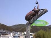 ����܂邲�Ǝs��̎ʐ^3