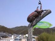 ����܂邲�Ǝs��̎ʐ^3