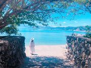 �����̎ʐ^2