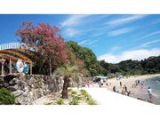 �����̎ʐ^3