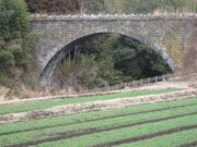 �������̎ʐ^2