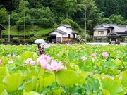 �P�n�Ε������̎ʐ^2