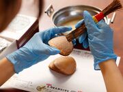 �㓡���ٖ{�X�u�Ε���فv�̎ʐ^3