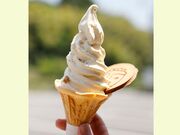 �㓡���ٖ{�X�u�Ε���فv�̎ʐ^4