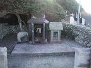 �Ԍ��C���̎ʐ^2