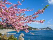 �l�Y�W�]��̎ʐ^4