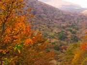 �v�Z�����̎ʐ^2