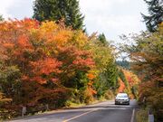 �v�Z�����̎ʐ^4