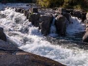 �\��̒���ߗ��̎ʐ^3