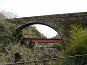 �����c���H���̎ʐ^3