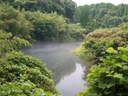 �|�c�_���i���Z�_���j�̎ʐ^3