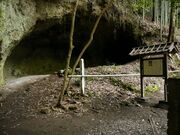 �؎x�O���A��q���Ղ̎ʐ^2