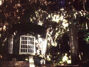 �؎x�O���A��q���Ղ̎ʐ^3