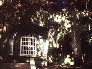 �؎x�O���A��q���Ղ̎ʐ^3