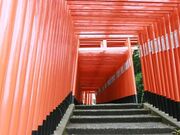 ��X��א_�Ђ̎ʐ^4