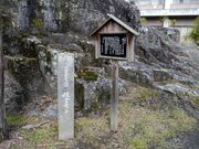 �ω��� �E�\�Z�����̎ʐ^2