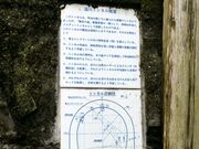 �����Y�g���l���̎ʐ^2