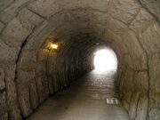 �����Y�g���l���̎ʐ^3