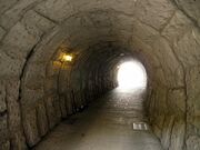 �����Y�g���l���̎ʐ^3