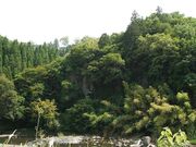 �O������i�|�c�d�\�j�̎ʐ^2