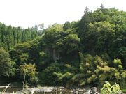 �O������i�|�c�d�\�j�̎ʐ^2