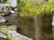 �򐅗N���̎ʐ^2